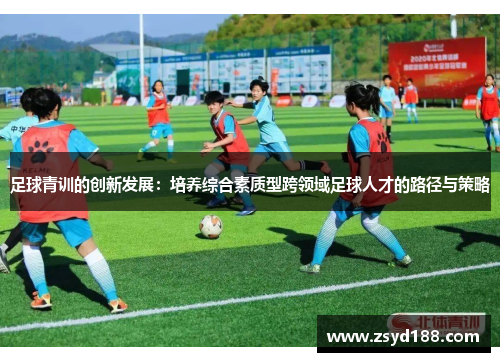 足球青训的创新发展：培养综合素质型跨领域足球人才的路径与策略