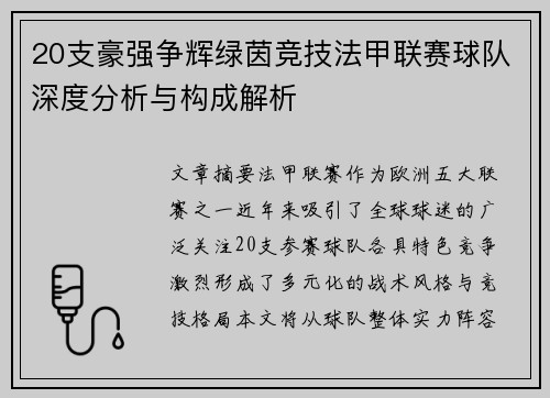 20支豪强争辉绿茵竞技法甲联赛球队深度分析与构成解析