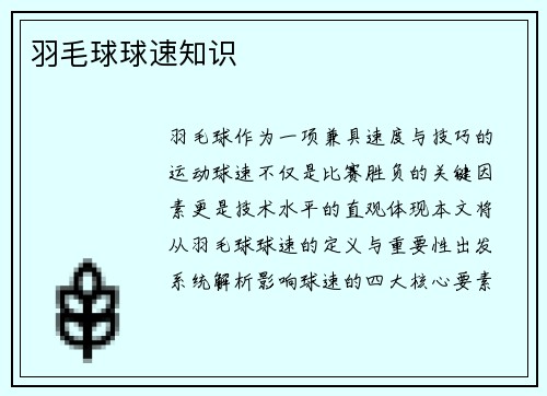 羽毛球球速知识